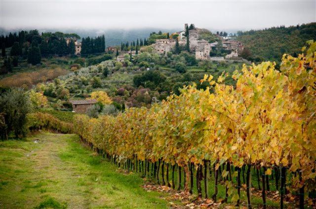 Agriturismo Podere Torre Greve in Chianti Esterno foto