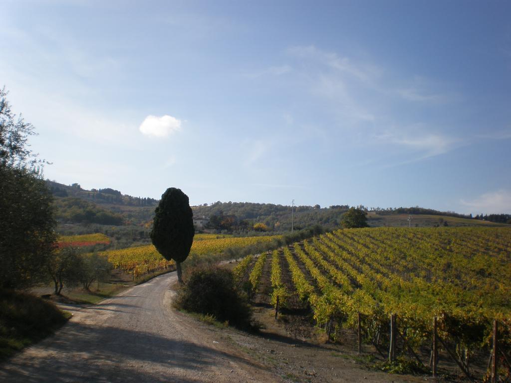 Agriturismo Podere Torre Greve in Chianti Esterno foto