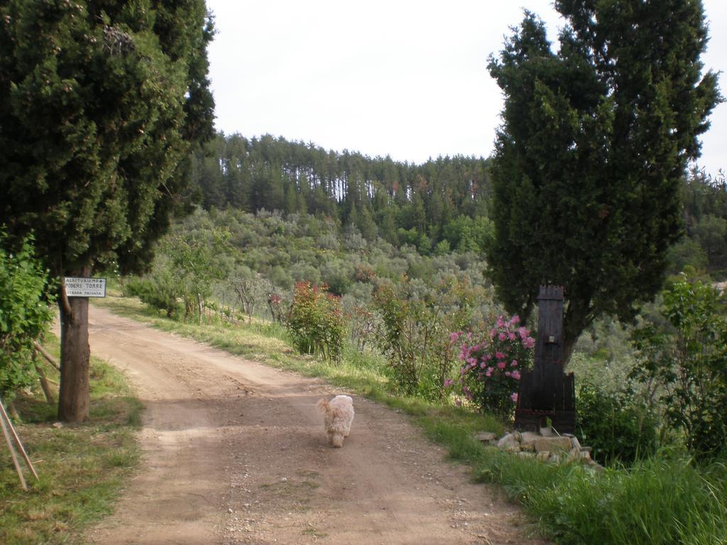Agriturismo Podere Torre Greve in Chianti Esterno foto