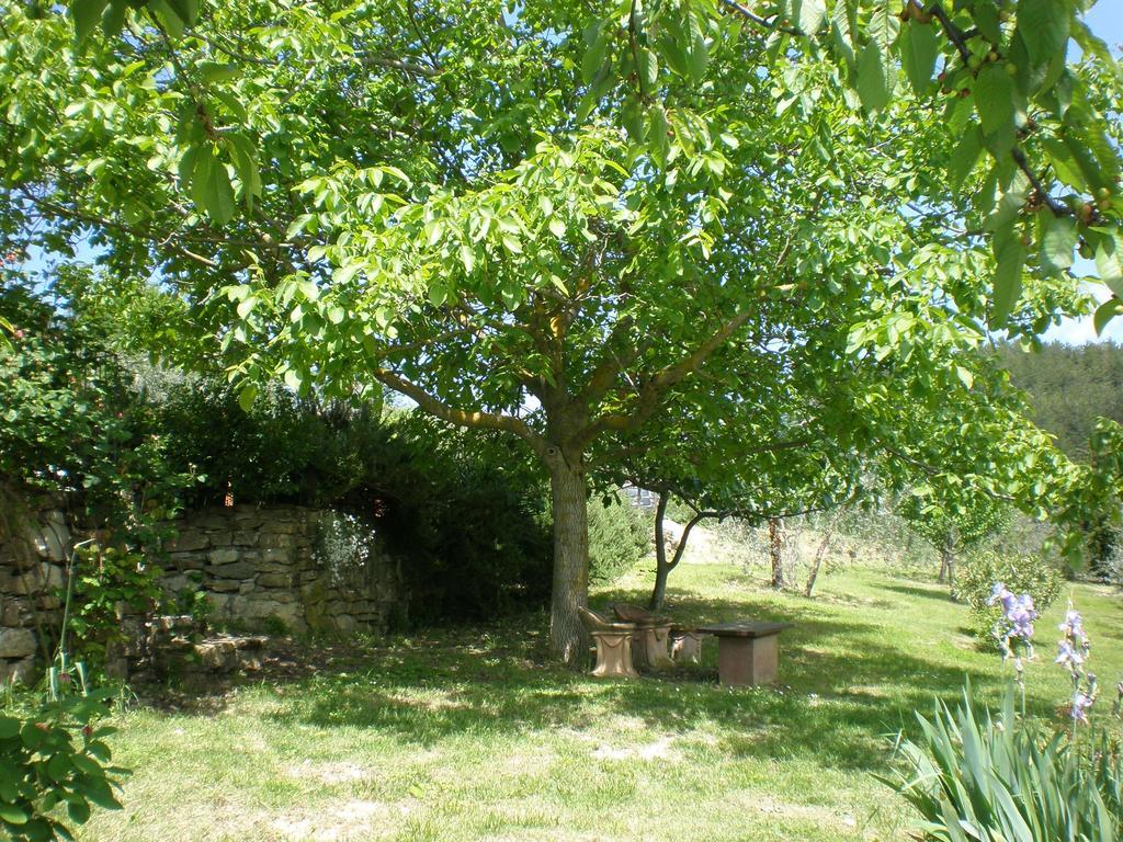 Agriturismo Podere Torre Greve in Chianti Esterno foto